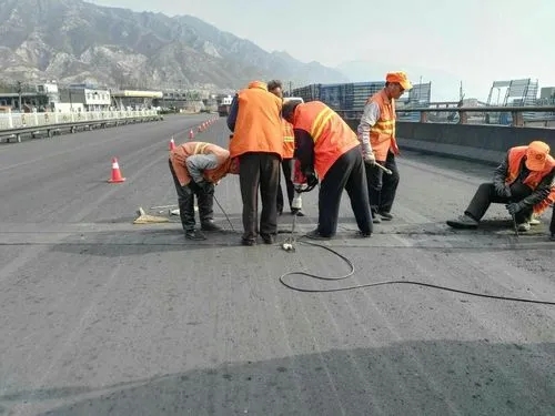 西工道路桥梁病害治理